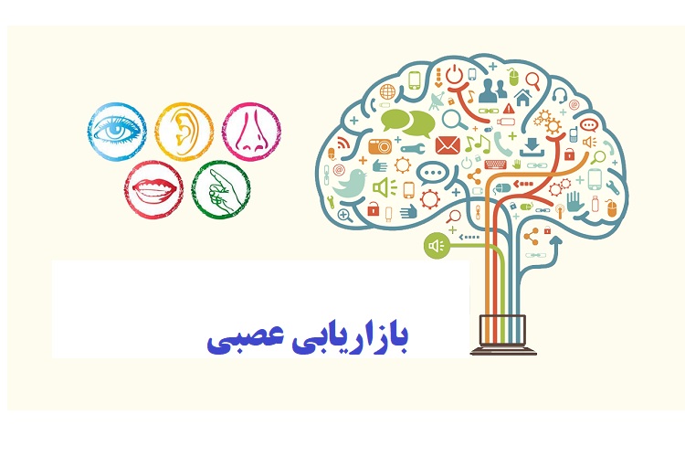 بازاریابی عصبی